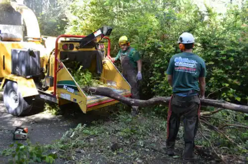 tree services Crowley Lake